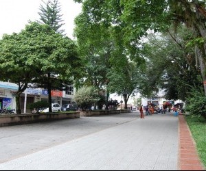 La Tebaida: Main Street.  Source: www.panoramio.com - Photo by: giovafuentes