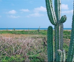 Landscape of La Guajira - Near El Cabo de La Vela. Source: Panoramio.com  By: Edison Colina
